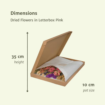 Droogbloemen in Letterbox Multi - Pink