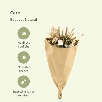 Droogbloemen Field Bouquet Natural - Ø25 - ↨60cm