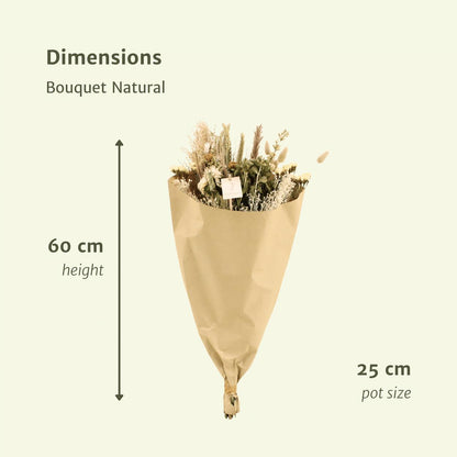 Droogbloemen Field Bouquet Natural - Ø25 - ↨60cm