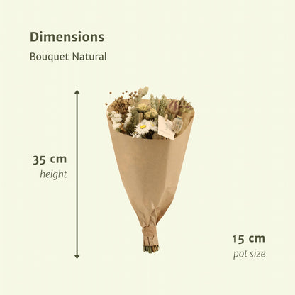 Droogbloemen Field Bouquet Natural - Ø15 - ↨35cm